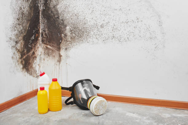 Best Residential Mold Inspection & Testing  in New Holstein, WI